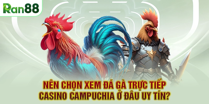 Nên chọn xem đá gà trực tiếp Casino Campuchia ở đâu uy tín?