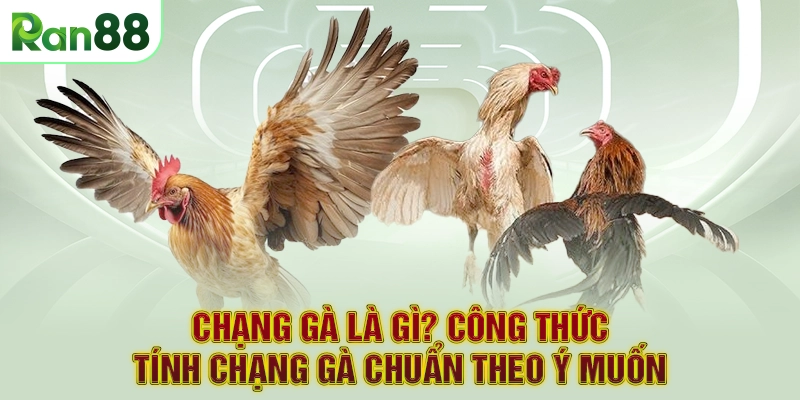 Chạng Gà Là Gì? Công Thức Tính Chạng Gà Chuẩn Theo Ý Muốn