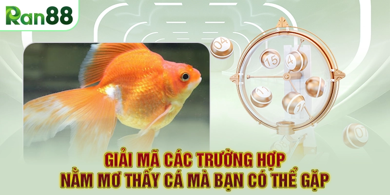 Giải mã các trường hợp nằm mơ thấy cá mà bạn có thể gặp