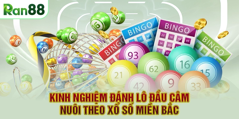 Kinh nghiệm đánh lô đầu câm nuôi theo xổ số miền Bắc