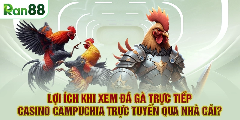 Lợi ích khi xem đá gà trực tiếp Casino Campuchia trực tuyến qua nhà cái?