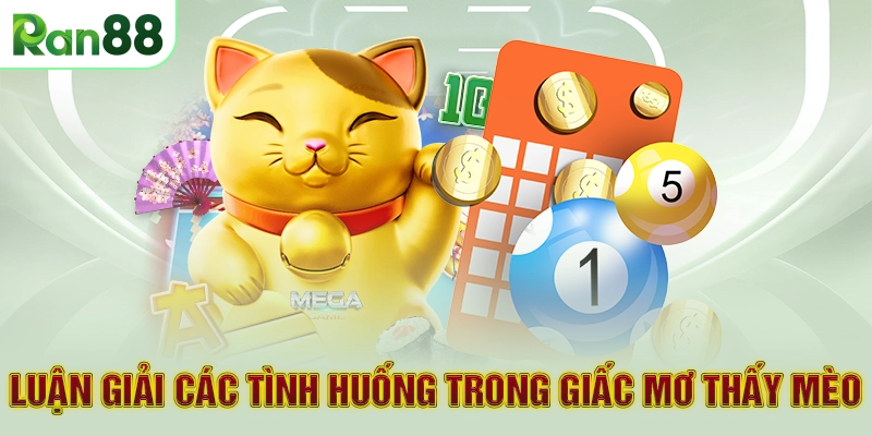 Luận giải các tình huống trong giấc mơ thấy mèo