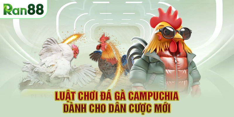 Luật chơi Đá Gà Campuchia dành cho dân cược mới
