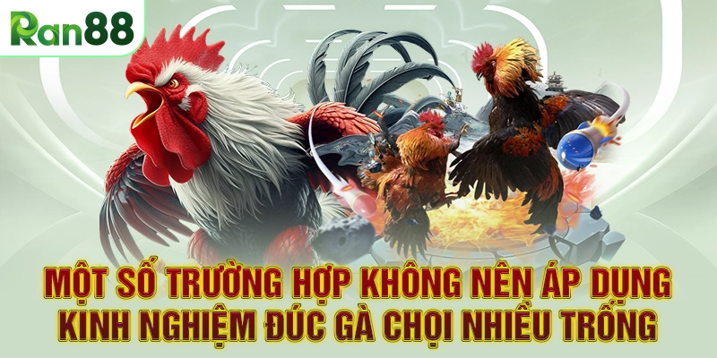 Một số trường hợp không nên áp dụng kinh nghiệm đúc gà chọi nhiều trống