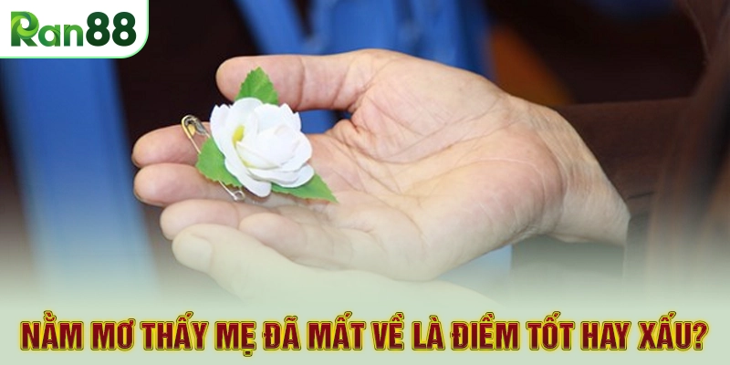 Nằm mơ thấy mẹ đã mất về là điềm tốt hay xấu?