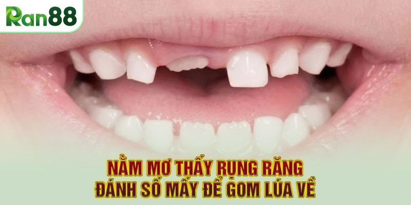Nằm mơ thấy rụng răng đánh số mấy để gom lúa về
