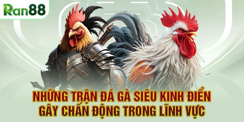 Những trận đá gà siêu kinh điển gây chấn động trong lĩnh vực