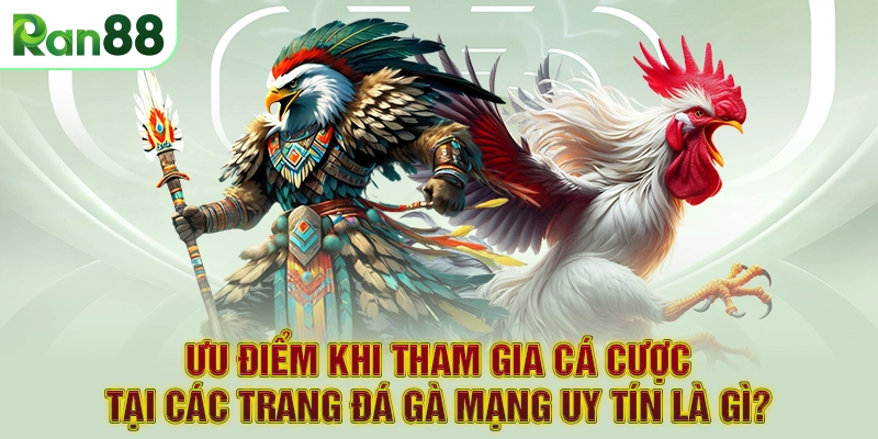Ưu điểm khi tham gia cá cược tại các trang đá gà mạng uy tín là gì?
