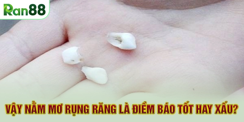 Vậy nằm mơ rụng răng là điềm báo tốt hay xấu?