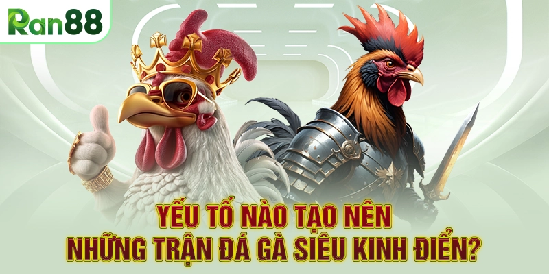 Yếu tố nào tạo nên những trận đá gà siêu kinh điển?